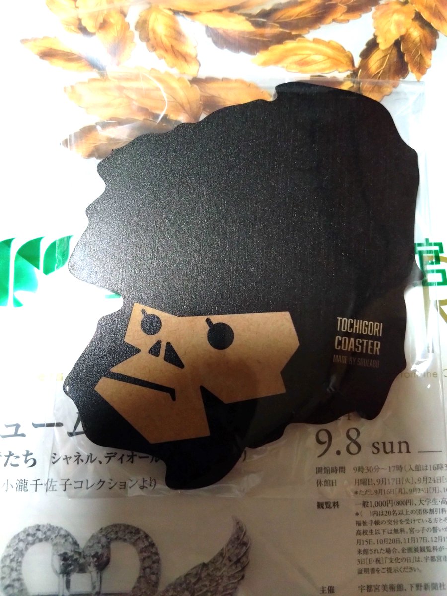 トチゴリコースター