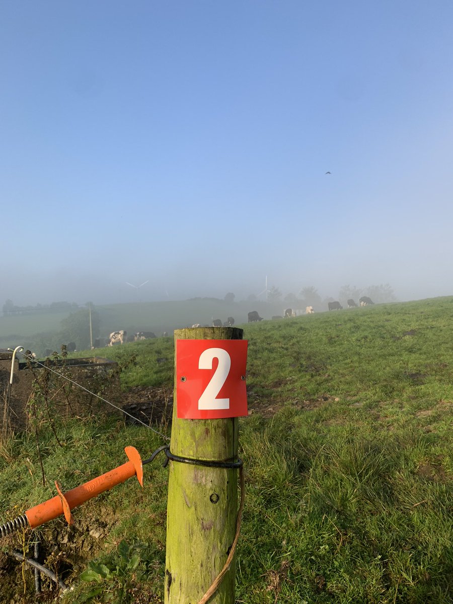 Beautiful foggy morning 

Paddock numbers that bends easily around any post with life time lasting 

farmgalore.ie/product/paddoc…