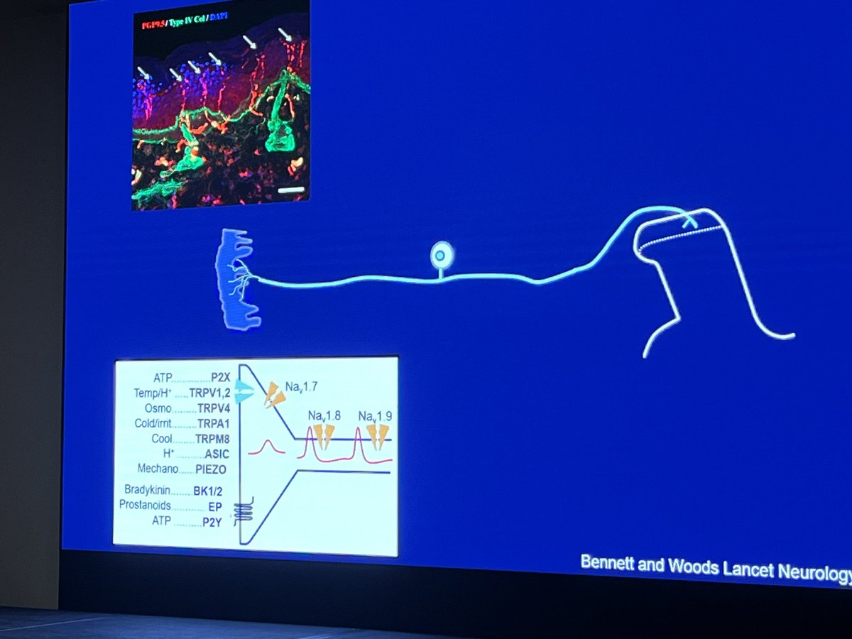 Abd Tahrani tweet media