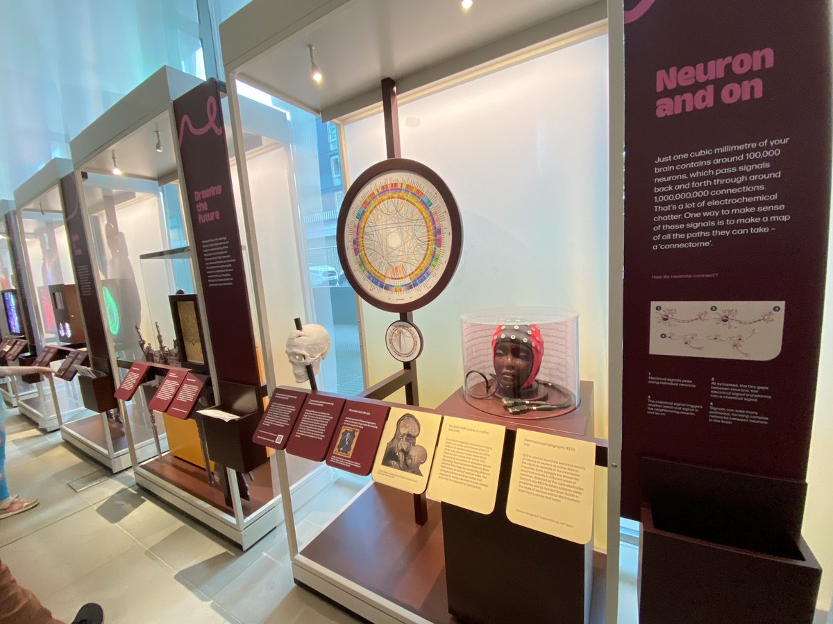 Yasin Arslan (@ysn_arl) on Twitter photo You can enjoy a free brain exhibition, ‘Hello Brain’, at <a href="/TheCrick/">The Francis Crick Institute</a> till 3rd of December!
It’s a family-friendly environment with lots of fun things to learn about what happens inside our skulls 👏🧠 You can enjoy a free brain exhibition, ‘Hello Brain’, at <a href="/TheCrick/">The Francis Crick Institute</a> till 3rd of December!
It’s a family-friendly environment with lots of fun things to learn about what happens inside our skulls 👏🧠