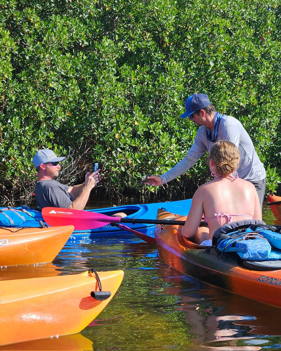 islandkayaktour's tweet image. Enjoy the #natural #undeveloped side of #Florida with a #kayak tour through Shell Key #Preserve.

#KeepFLWild
#leavenotrace
#IslandKayakTours