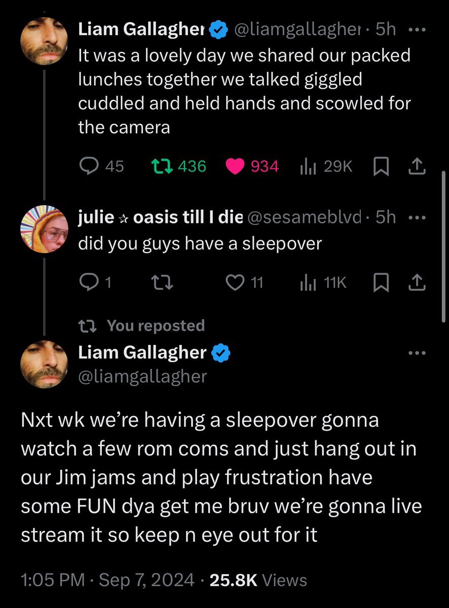 noelle saw oasis tweet media