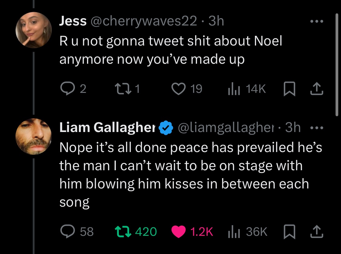 noelle saw oasis tweet media