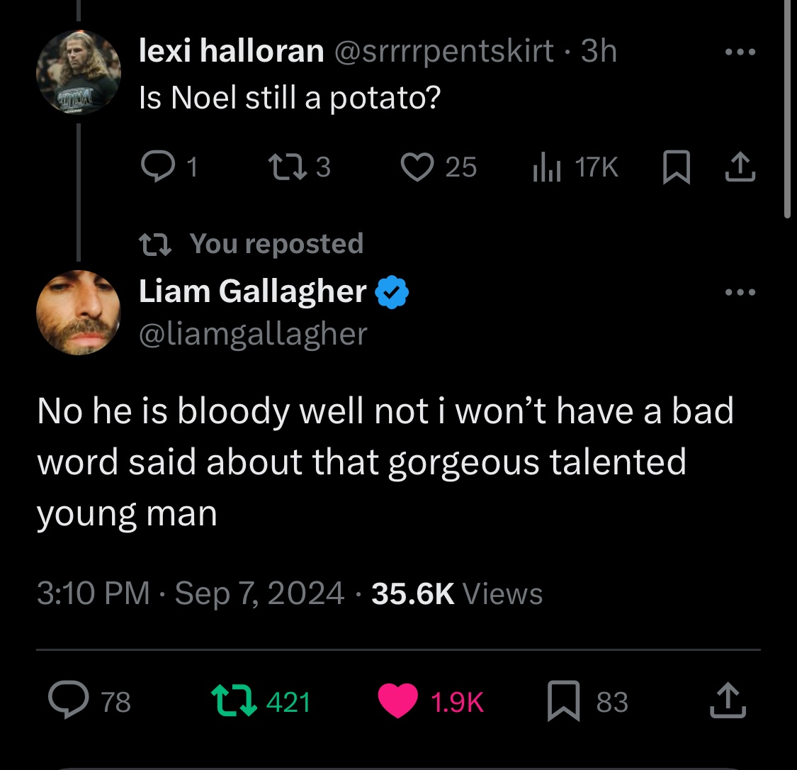 noelle saw oasis tweet media