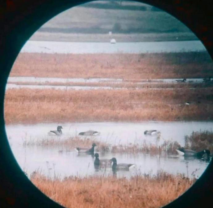 EricLagadec's tweet image. Les dernières images du JWST semblent indiquer la présence de vie sur Jupiter! Ça m'en bouche vraiment un coin!