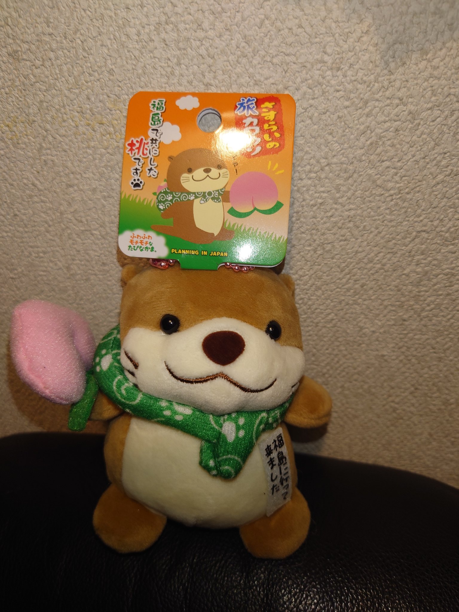 さすらいの旅カワウソ 福島 桃 🐸旅かえるさん🦫＠CBR250R on X