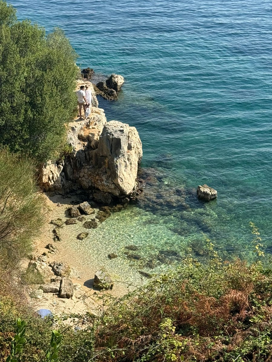 Joy🌺L🌺 tweet media