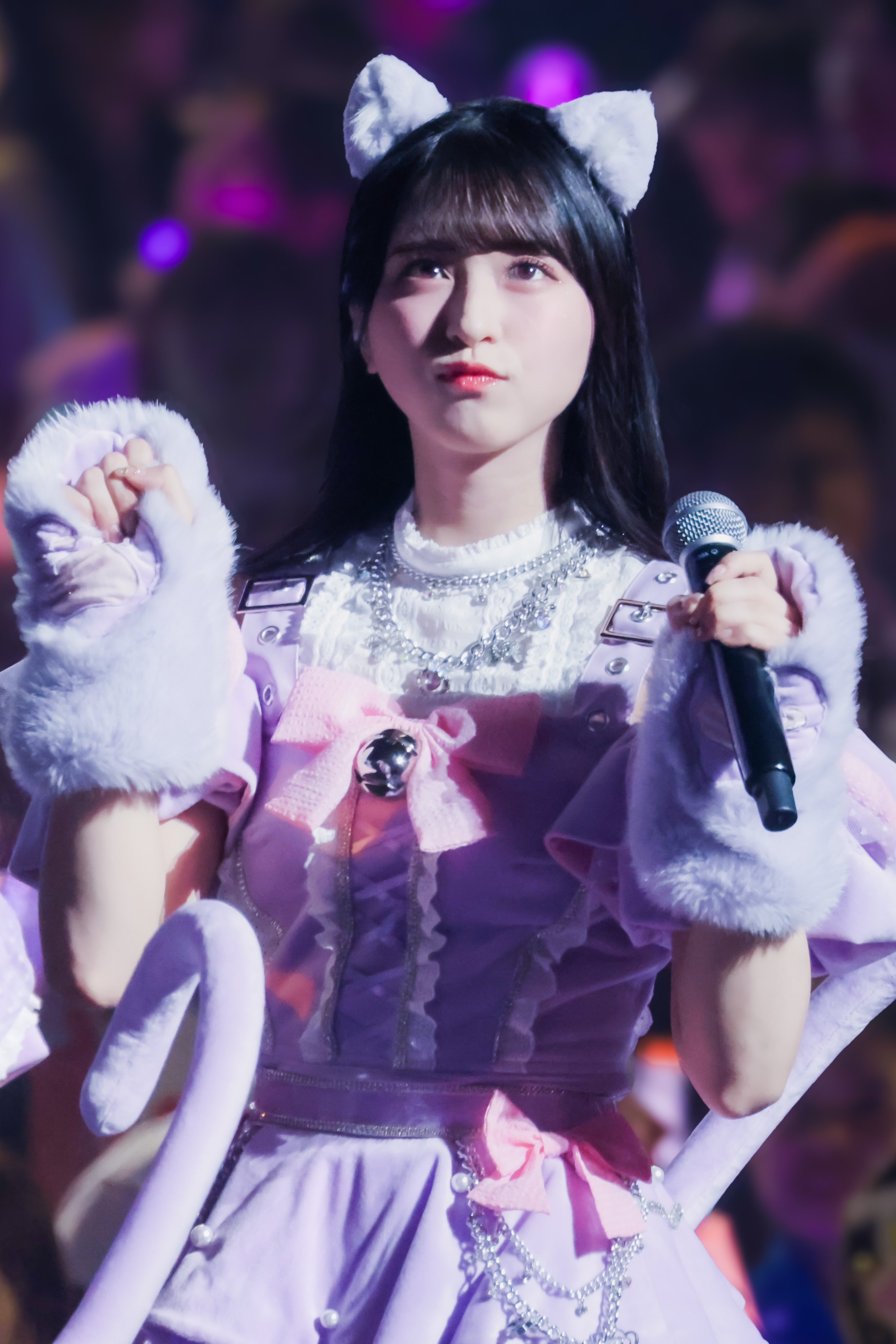 りょう🦑🐹 on X: りょう🦑🐹 on X: