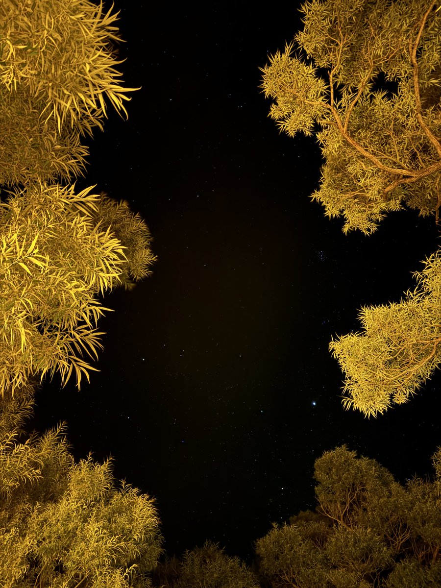 دره جن
نیر-یزد
<a href="/moho_khan/">موحوخان | طبیعتگرد‌ یزدی🌎</a>