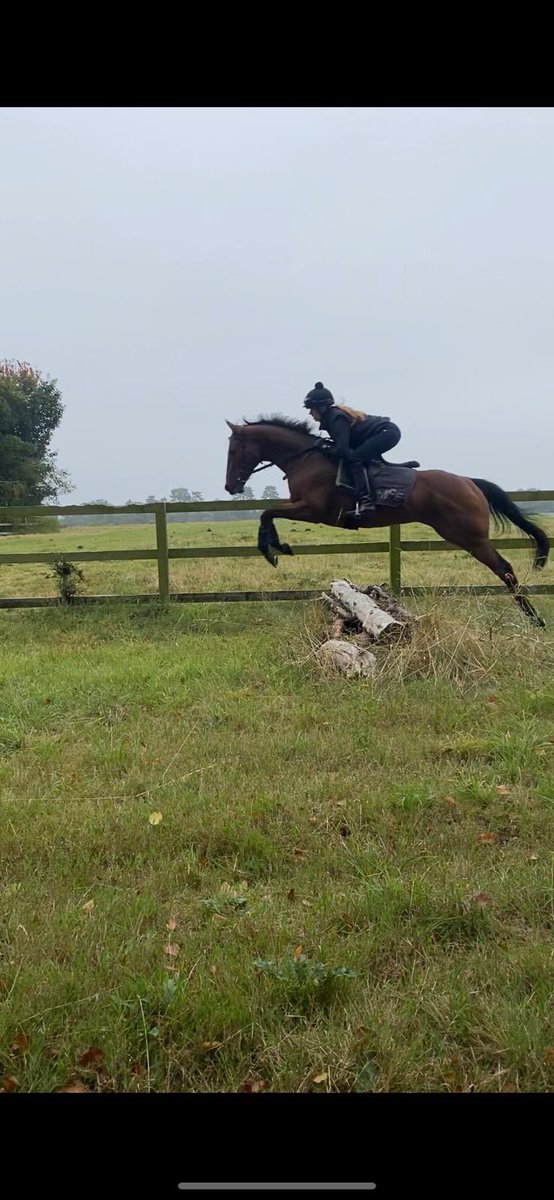grace mcentee (@gracemcentee) on Twitter photo Back in action tonight after 2months on the sidelines and I can’t thank the team enough <a href="/POSullevanHouse/">Peter O'Sullevan House (Newmarket)</a> <a href="/IJF_official/">Injured Jockeys Fund</a> for getting me back so quick! Here is Porfin this morning having a play before we head to <a href="/WolvesRaces/">Wolverhampton Races</a>
Fingers crossed for a good run 🤞🏼❤️
<a href="/philmcentee1/">phil mcentee</a> Back in action tonight after 2months on the sidelines and I can’t thank the team enough <a href="/POSullevanHouse/">Peter O'Sullevan House (Newmarket)</a> <a href="/IJF_official/">Injured Jockeys Fund</a> for getting me back so quick! Here is Porfin this morning having a play before we head to <a href="/WolvesRaces/">Wolverhampton Races</a>
Fingers crossed for a good run 🤞🏼❤️
<a href="/philmcentee1/">phil mcentee</a>