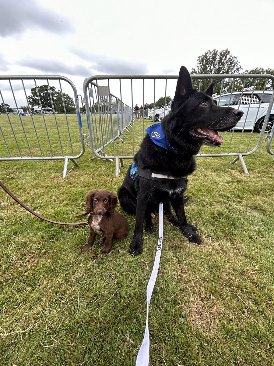 Hugh Whitaker (@hughwhitaker) on Twitter photo Thames valley police’s open day at their West Berkshire training facility. It’s a great day. If I wasn’t working I would be going. <a href="/pensions4paws/">pensions4paws</a> will be there trying to raise money so please consider supporting them. They supported our RPD Alfie during his life. Thames valley police’s open day at their West Berkshire training facility. It’s a great day. If I wasn’t working I would be going. <a href="/pensions4paws/">pensions4paws</a> will be there trying to raise money so please consider supporting them. They supported our RPD Alfie during his life.