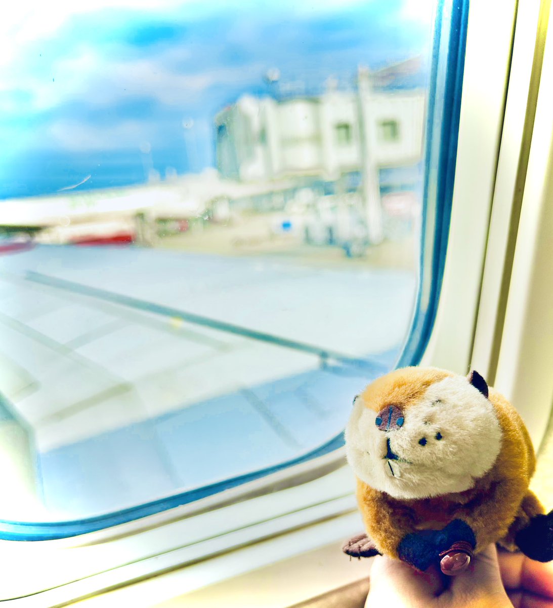 3x_uva_x3_spoon's tweet image. 北海道ジンギスカンなう✌️