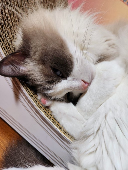 ナンナ せくしー 