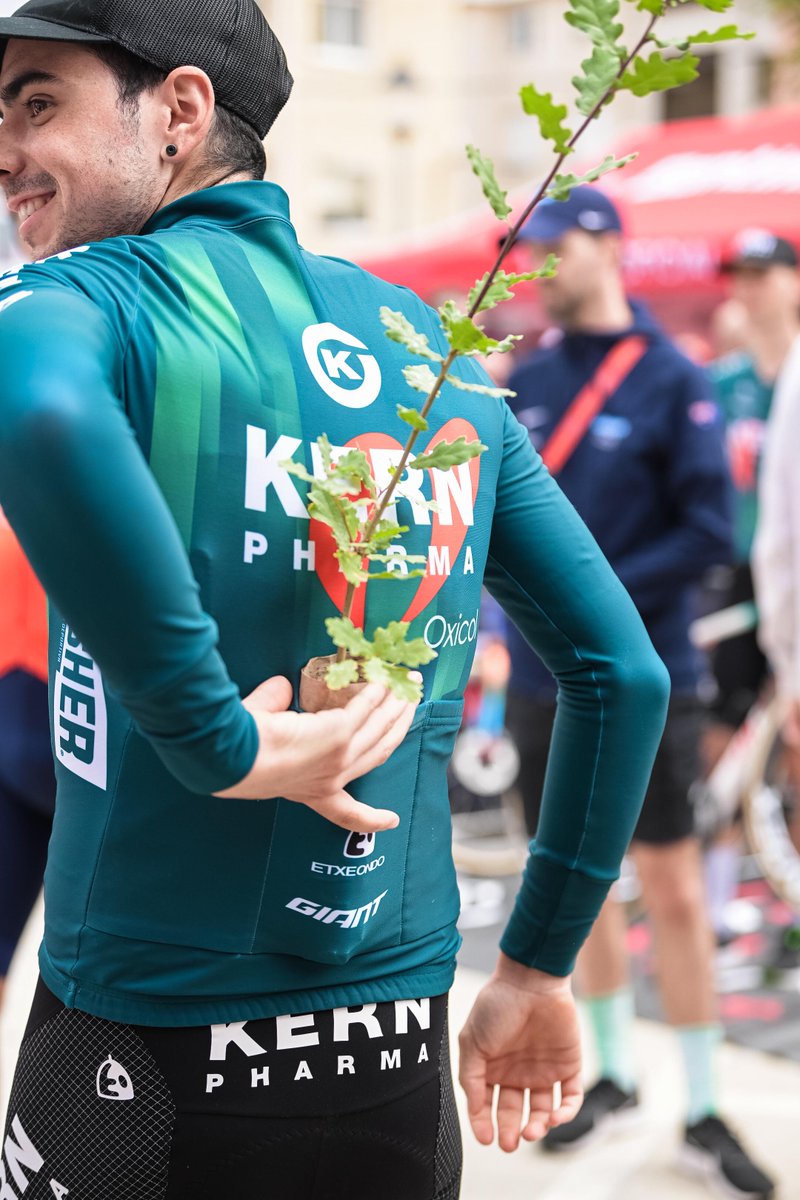 lavuelta's tweet image. La Vuelta and @LandLifeCompany  have joined forces to plant 700 trees of native species in the area around Picón Blanco - today’s finish. 🌳🌲

They will plant 100 trees for every mountain pass in the stage including birch, ash, pine, beech, maple and rowan 🤝

#LaVuelta24 y Land…