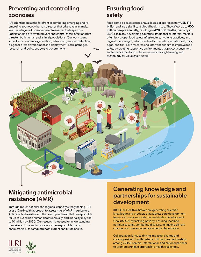 3/3: If at any time you want to hear more about our #OneHealth work, reach out <a href="/Geoff_L_Njenga/">Geoffrey L. Njenga</a>  or <a href="/pwairagala/">Pamela Wairagala</a>  and they will put you in touch with scientists who are working in this space! #WOHC2024 <a href="/GlobalOHC/">Global One Health Community</a> <a href="/WOHCongress/">World One Health Congress</a>