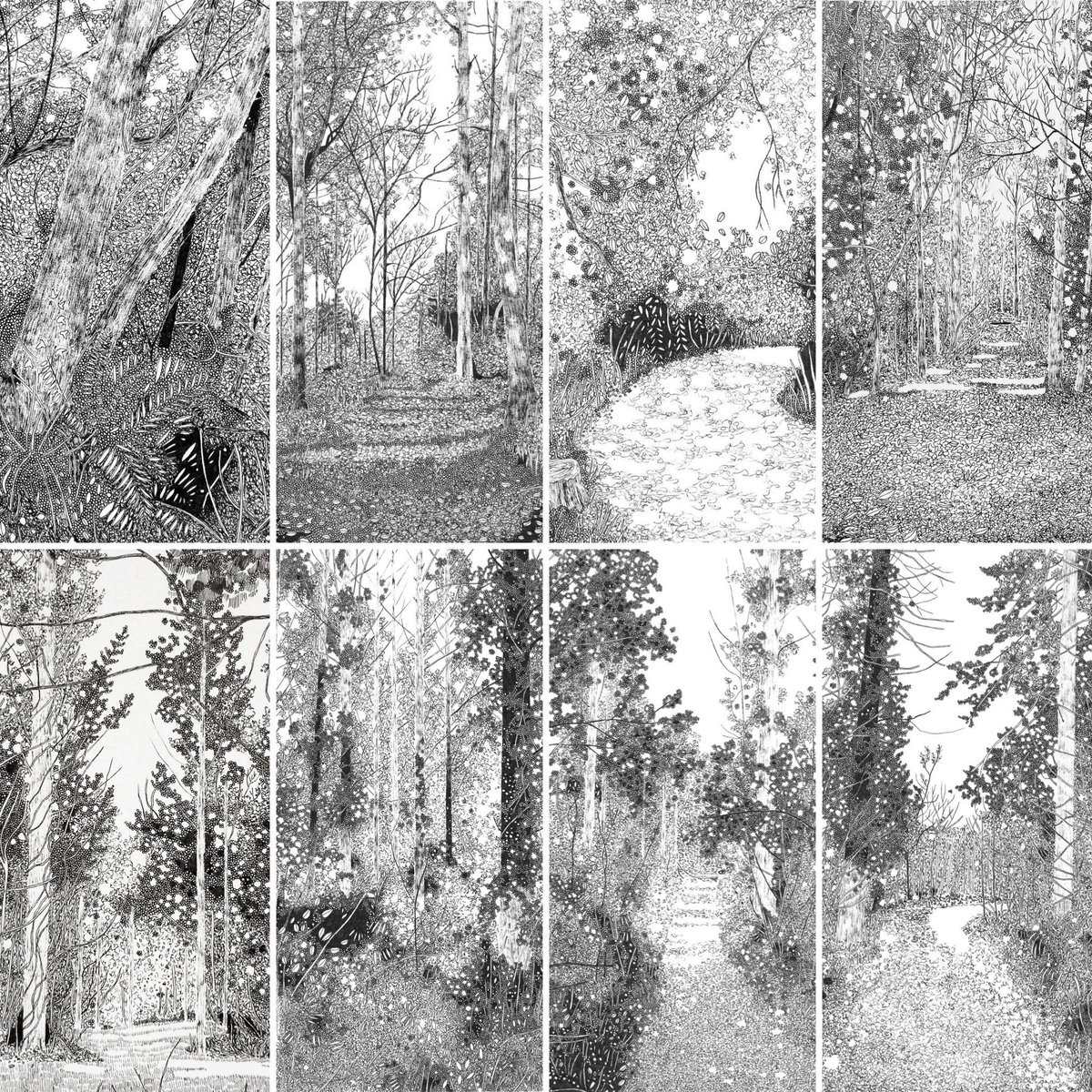 Giclée prints are a lovely and more affordable way of bringing art into your home. All of these are limited edition and cost £30 plus £2 U.K. postage but I can also post abroad for £9. Little snippets of nature! claireleach.com/shop