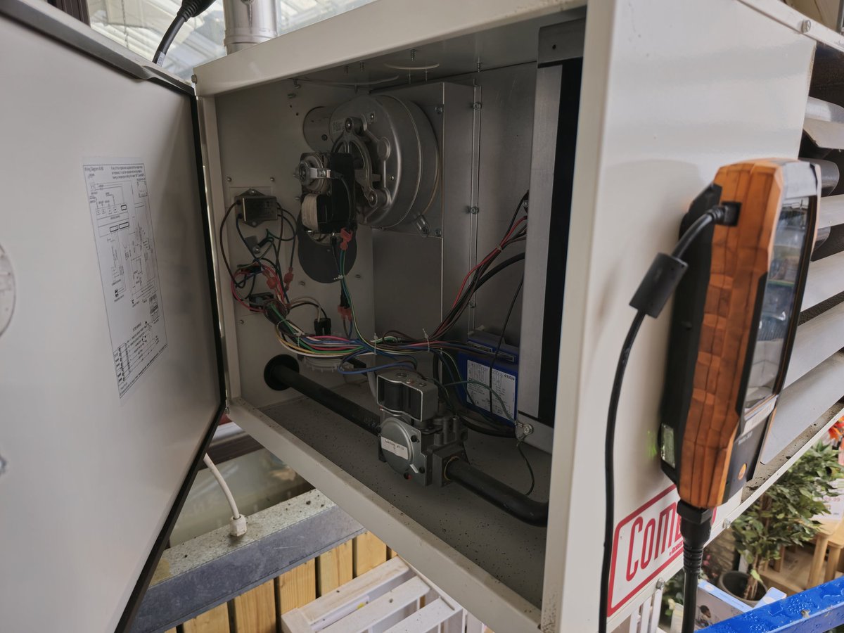 Dr Boilers 🐰 tweet media