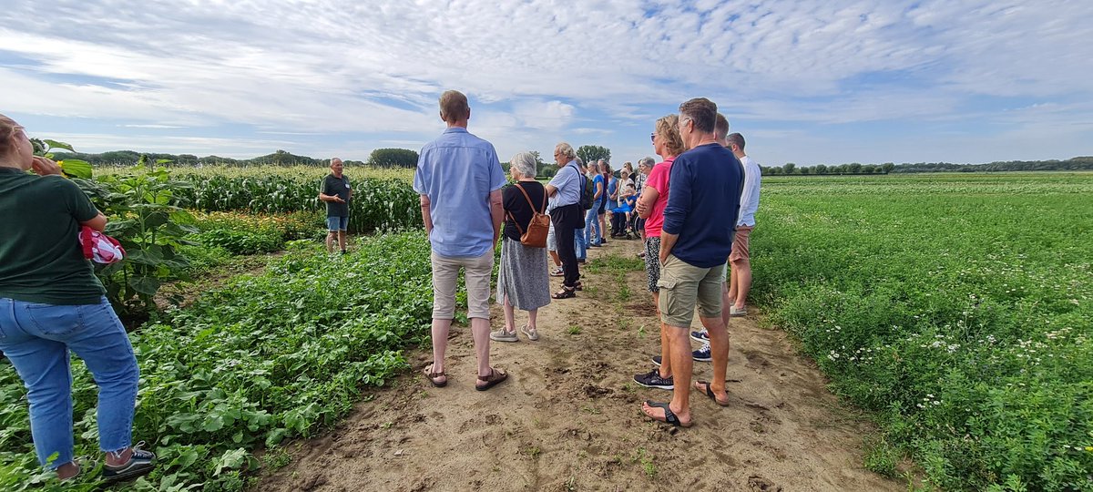 Hilde Anna de Vries tweet media