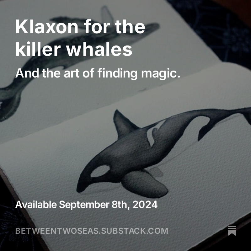 My free weekly newsletter is sent out Sunday morning (UK time). Subscribe at the link below to get it delivered direct to your inbox 🌊 

betweentwoseas.substack.com/about

Tomorrow: a piece on killer whales and finding magic.

#WritingCommunity