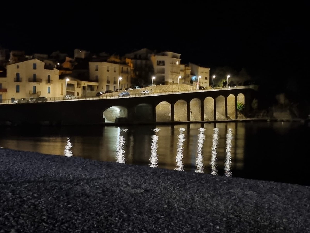 Amazing  #PGRP2024 meeting in Banyuls-sur-mer !!! Great science, great location!! Happy to share our argentinean science and meet old and new friends!!! 
Excellent Program and perfect organization <a href="/LGDP_Perpignan/">LGDP</a> !
<a href="/ifibyne/">IFIBYNE 🇦🇷 CONICET - UBA</a> <a href="/CONICETDialoga/">CONICET Dialoga</a> <a href="/Exactas_UBA/">Exactas UBA</a>