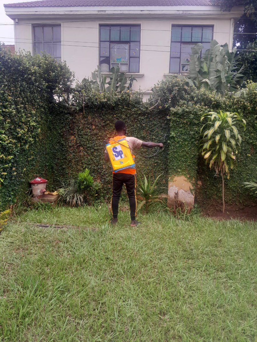 FumigatorsSp's tweet image. #paverscleaning
#Vermincontrol
#Paverscleaning 
#Roofcleaning 
#Terrazocleaning 
#Bathroomcleaning
#housecleaning 
#officecleaning 
#Sofaset Cleaning 
#couchcleaning 
0705 109260