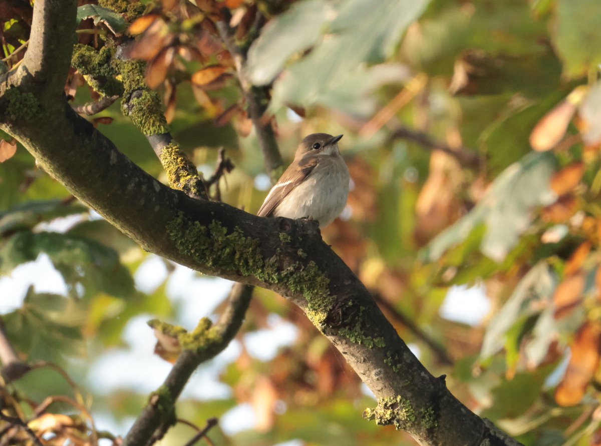 Daryl Rhymes tweet media