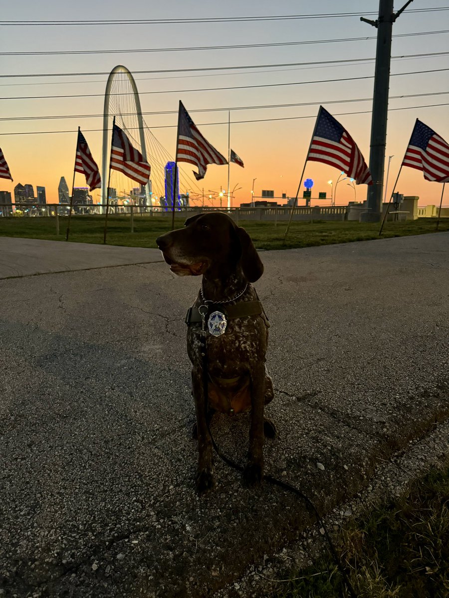 Freedom Run 2024 💙
City lit up blue for Officer Burks