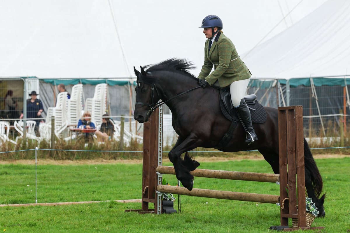 Gsxr1000UKKO's tweet photo. Well the practice paid off and our 4yo won it's class in the Working Hunter Novice class at Wolsingham Show :) #horse #pony #working #hunter #workinghunter #rural #countryside https://t.co/P3GId6Nrjm
