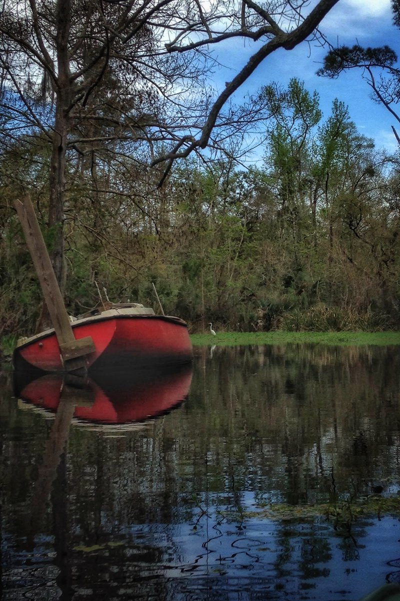 Donald_G_Redman's tweet image. How about some RED today?