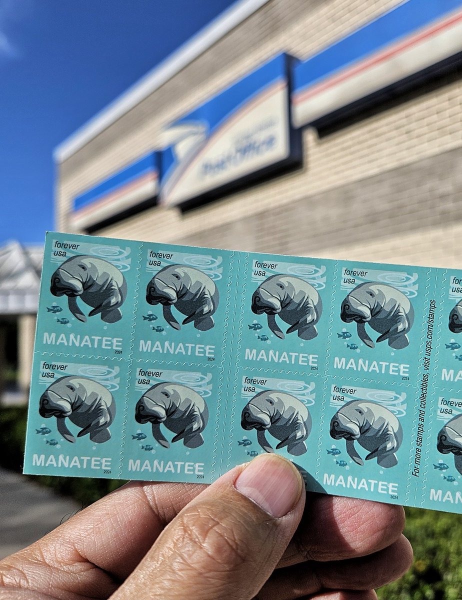 Carlos San Jose 🎢 tweet media