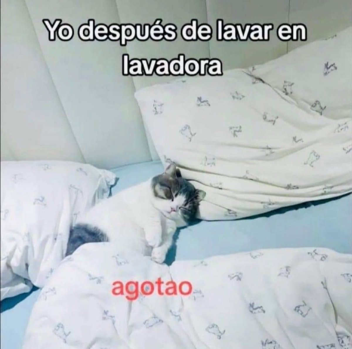 El Guarromántico tweet media
