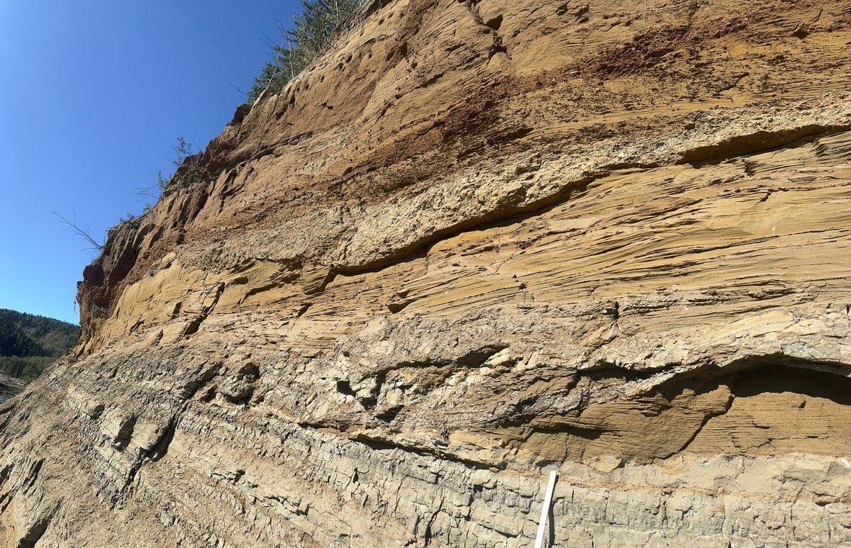 dinojonrox's tweet image. And many sedimentary structures to die for :) including palaeosols, rippled sandstone and lag filled channels with scoured bases