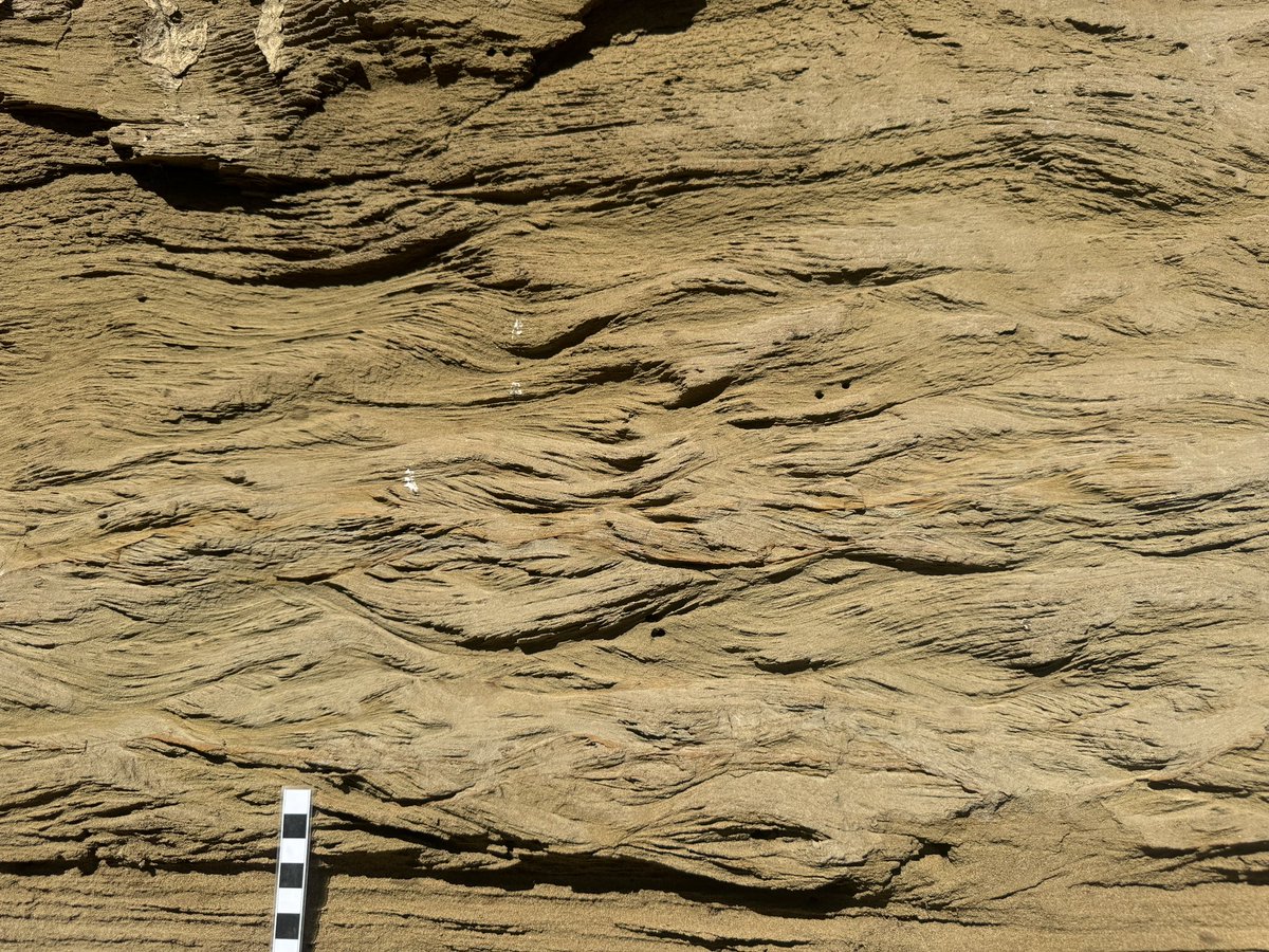 dinojonrox's tweet image. And many sedimentary structures to die for :) including palaeosols, rippled sandstone and lag filled channels with scoured bases