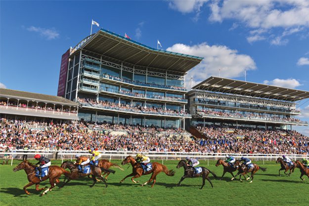 Joel Pattison Racing 🏇 tweet media