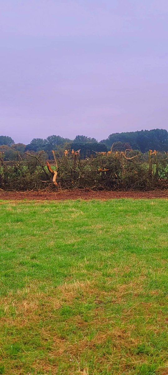 Chris Holwell (@litenheat69) on Twitter photo More wildlife vandalism Sutton East Yorks <a href="/looknorthBBC/">BBC East Yorkshire</a> <a href="/ChrisGPackham/">Chris Packham</a> <a href="/Natures_Voice/">RSPB</a> <a href="/IoloWilliams2/">Iolo Williams</a> More wildlife vandalism Sutton East Yorks <a href="/looknorthBBC/">BBC East Yorkshire</a> <a href="/ChrisGPackham/">Chris Packham</a> <a href="/Natures_Voice/">RSPB</a> <a href="/IoloWilliams2/">Iolo Williams</a>
