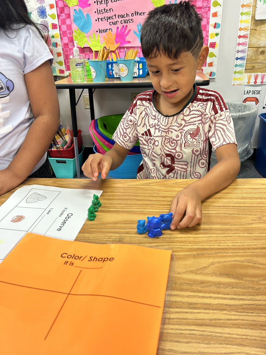 Natalie Stout tweet media