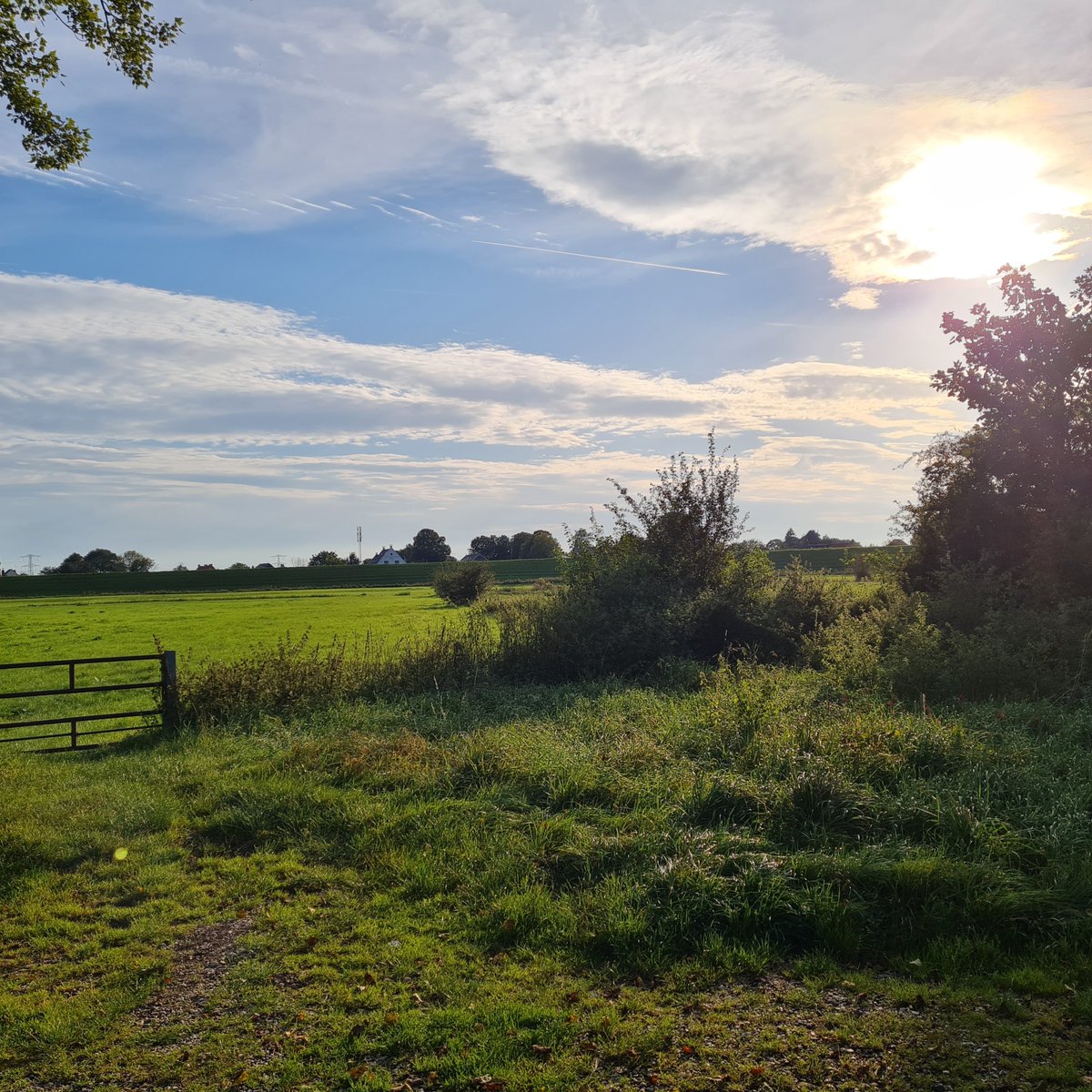 Annemarie Joosten 🇳🇱 tweet media