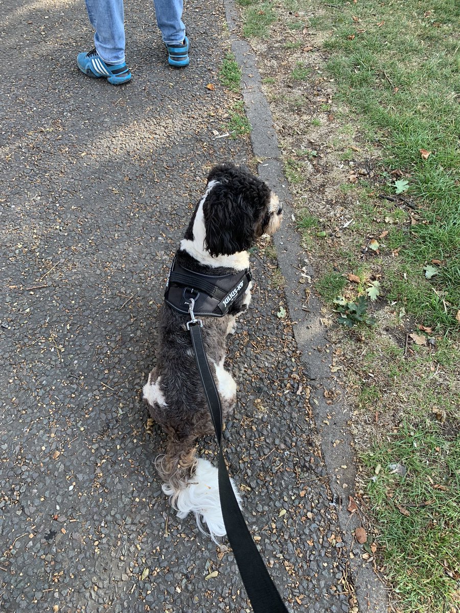 ValerieBarlow6's tweet photo. And then you find out you were the 110,000th finisher at your home parkrun @oakhillparkrun #chuffedtobits #totalfluke -thank you Wally for stopping for a poo on that last lap ๐งก๐ฉต๐ค๐ค๐ถ๐พ @parkrunUK https://t.co/pTPkC2si7S