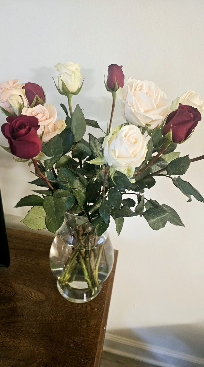 LaToya Wilson, DMD, MPH tweet media