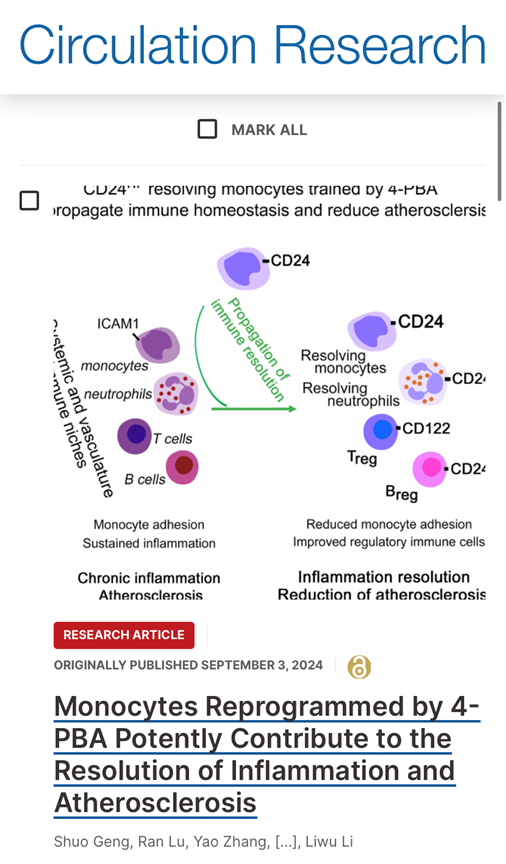 li_liwu's tweet image. Glad to share our recent work on the reprogramming of resolving monocytes capable of inter-cellular propagation of immune-homeostasis and reducing atherosclerosis. ahajournals.org/doi/10.1161/CI…