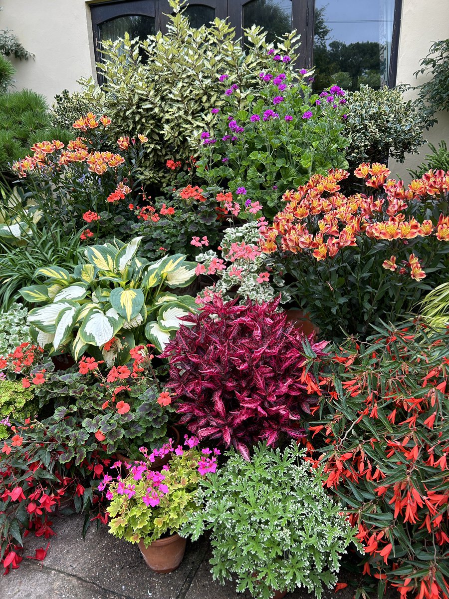 Isabelchurcher's tweet photo. Always a joy to visit @JohnsGardenAsh. Of the hundreds of gardens I’ve visited it’s still my favourite. It’s beautifully planted, with gorgeous plant associations, lots of ideas for home and superbly maintained by dedicated and passionate gardeners. All income goes to charity. https://t.co/osBjLrifGv