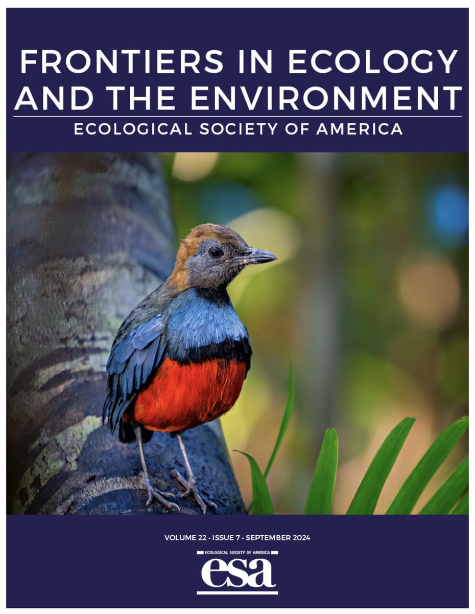 Joe Tobias (@ja_tobias) on Twitter photo First ever pitta on the front cover of an international research journal? Could be. The Louisiade Pitta as example of a "lost bird" rediscovered with the help of citizen science. Paper by Cameron Rutt and others from eBird and BirdLife International: esajournals.onlinelibrary.wiley.com/doi/10.1002/fe… First ever pitta on the front cover of an international research journal? Could be. The Louisiade Pitta as example of a "lost bird" rediscovered with the help of citizen science. Paper by Cameron Rutt and others from eBird and BirdLife International: esajournals.onlinelibrary.wiley.com/doi/10.1002/fe…