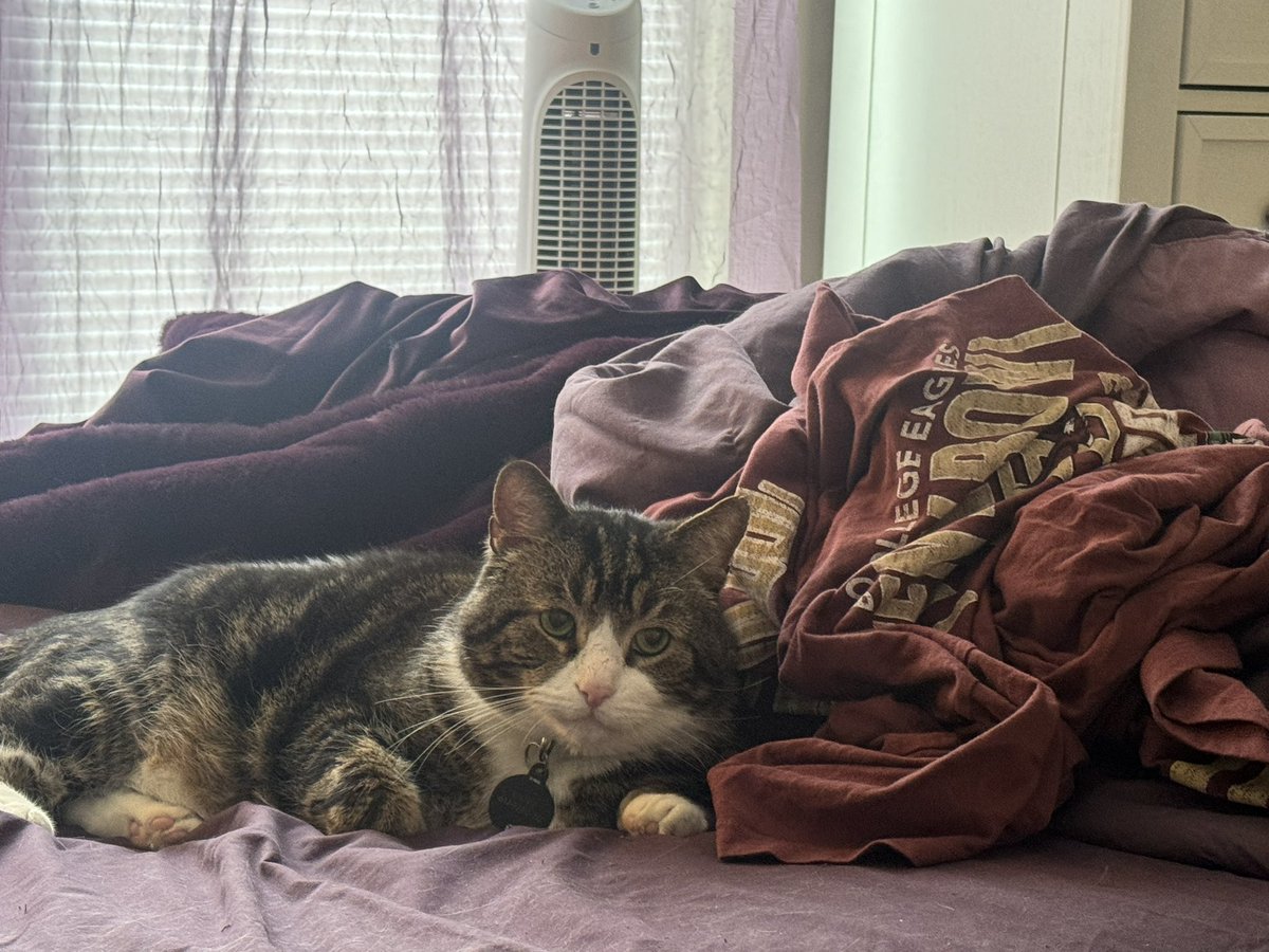 smars319's tweet image. Ready for the BC game!! So excited to share the world of Boston College with my Texas roomie. Chara is ready too, he’s keeping some of our BC attire warm while we’re gone ❤️💛❤️💛❤️ #forboston #forjohnny #formatthew #earnit #goeagles #bcfootball🦅 @AddictSox @BCFootball