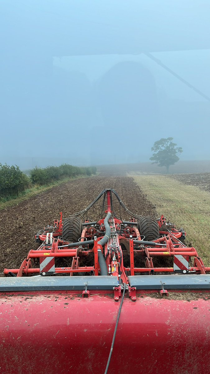 Wheat and OSR have been going in the last few days! Keeping wheels 🛞 turning as combining seems to have ground to a halt !