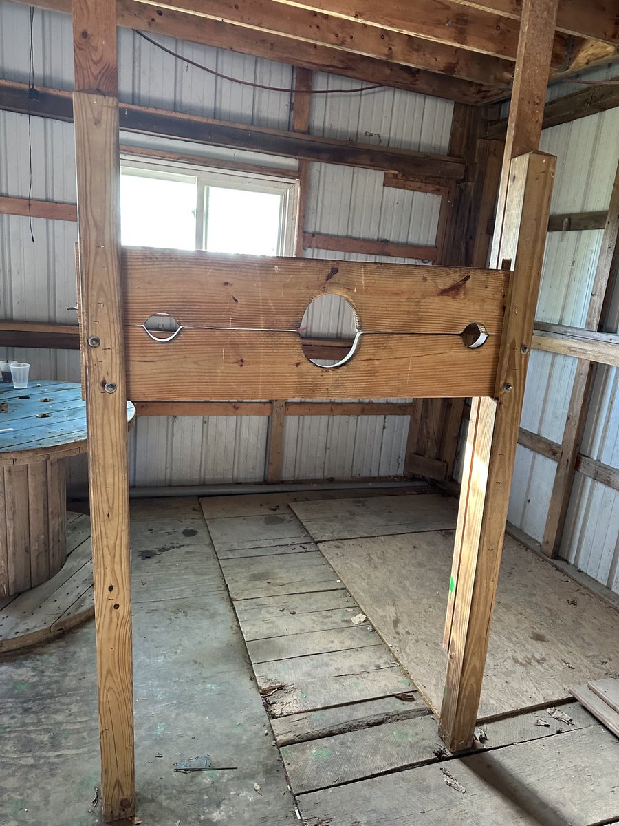 MgtnBear tweet media