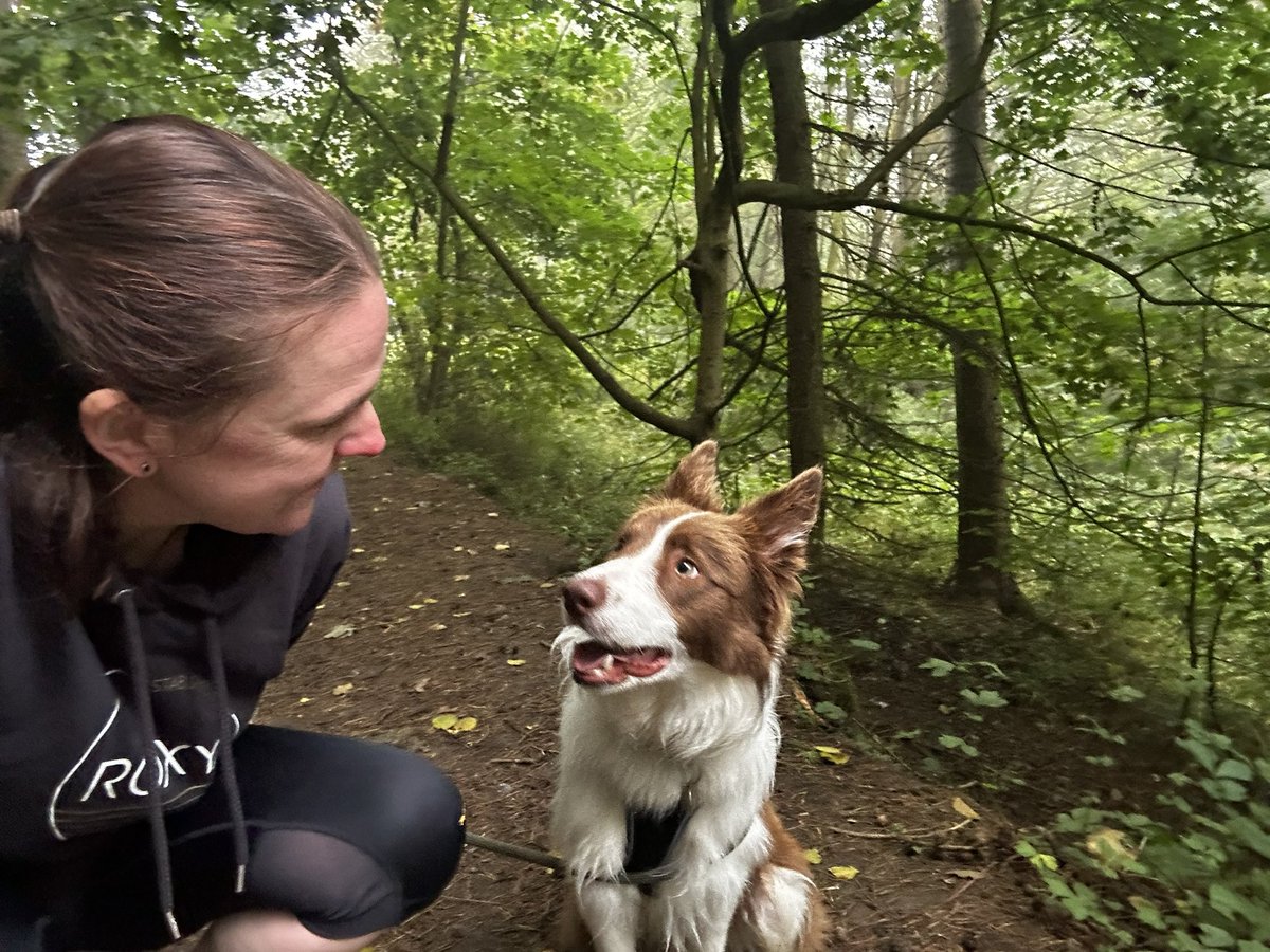 bm_gate (Becki) tweet media