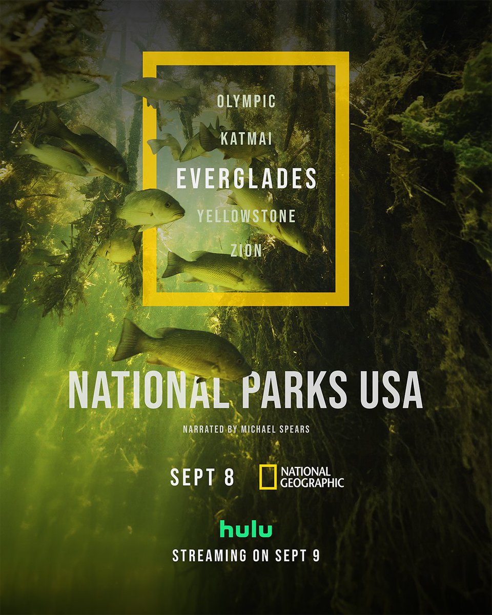ImagesInSound's tweet image. Discover the untamed beauty of Everglades and Katmai in the premiere of National Parks: USA! 🐊🐻 From Florida's swamps to Alaska's wilds, these parks are full of life and wonder. Don't miss the debut on National Geographic, Sept 8th! 🌿 #NationalParksUSA 

#imagesinsound