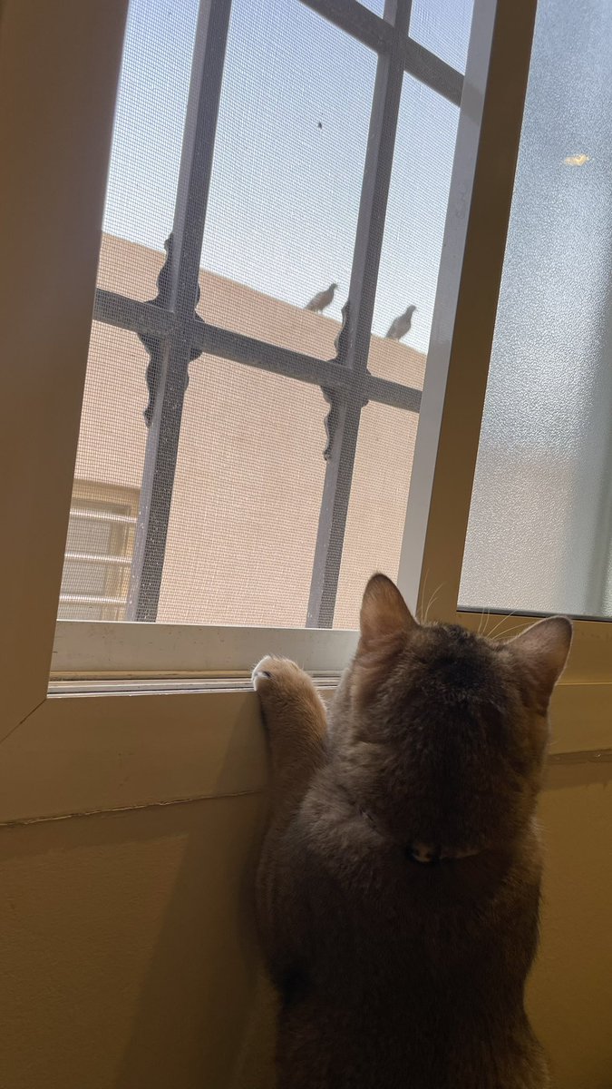 يزن (@yaz_117) on Twitter photo 