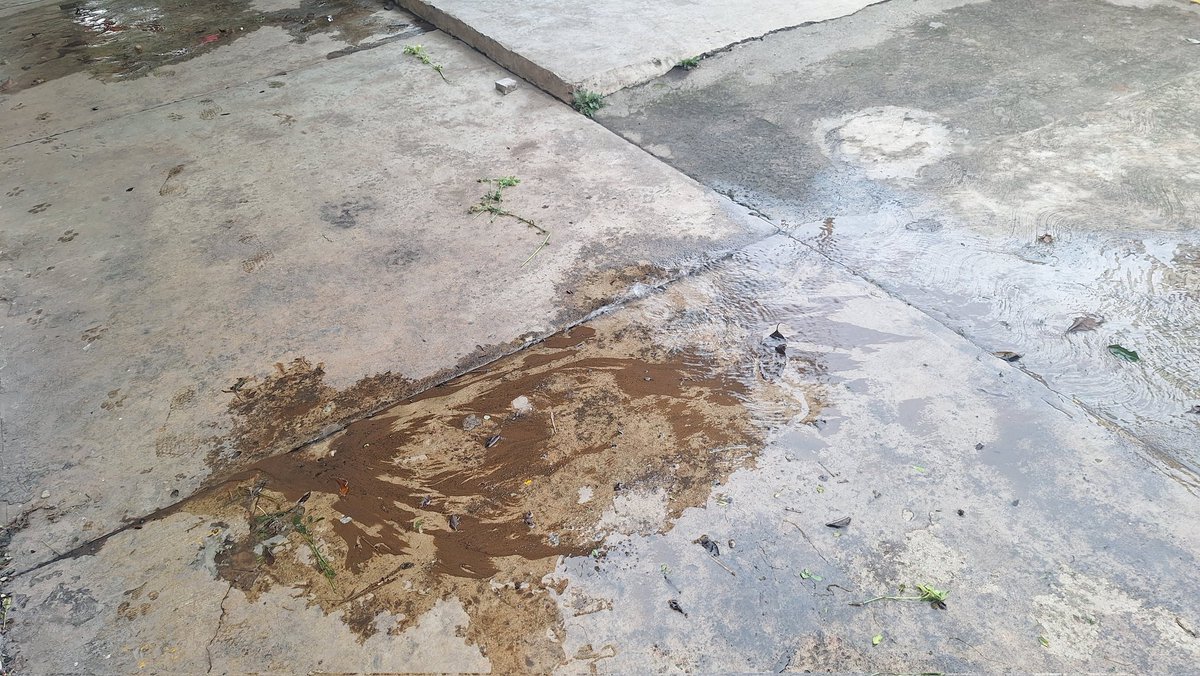 Special_T_'s tweet photo. Fuga de agua en la calle Manzano de la colonia Sumidero.
Referencia frente al OXXO.
@CMAS_Xalapa @ahuedricardo @AytoXalapa https://t.co/V8FZAGqu3P