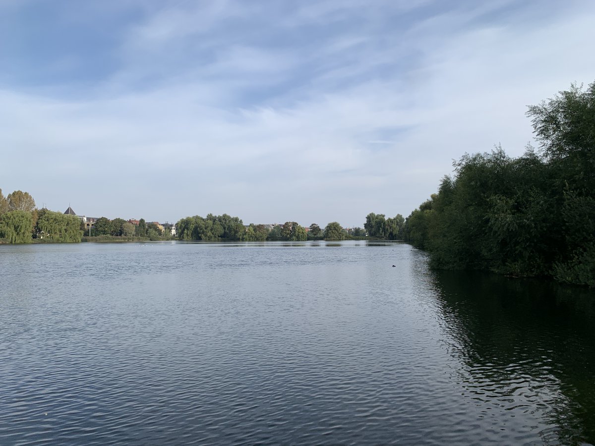molmicrobio's tweet photo. #Running 5 km in the morning alongside the Sankt Jørgens Sø right in front of the #Pseudomonas2024 venue. It would be a happy moment with the air real fresh. https://t.co/aLSwTIhVQi